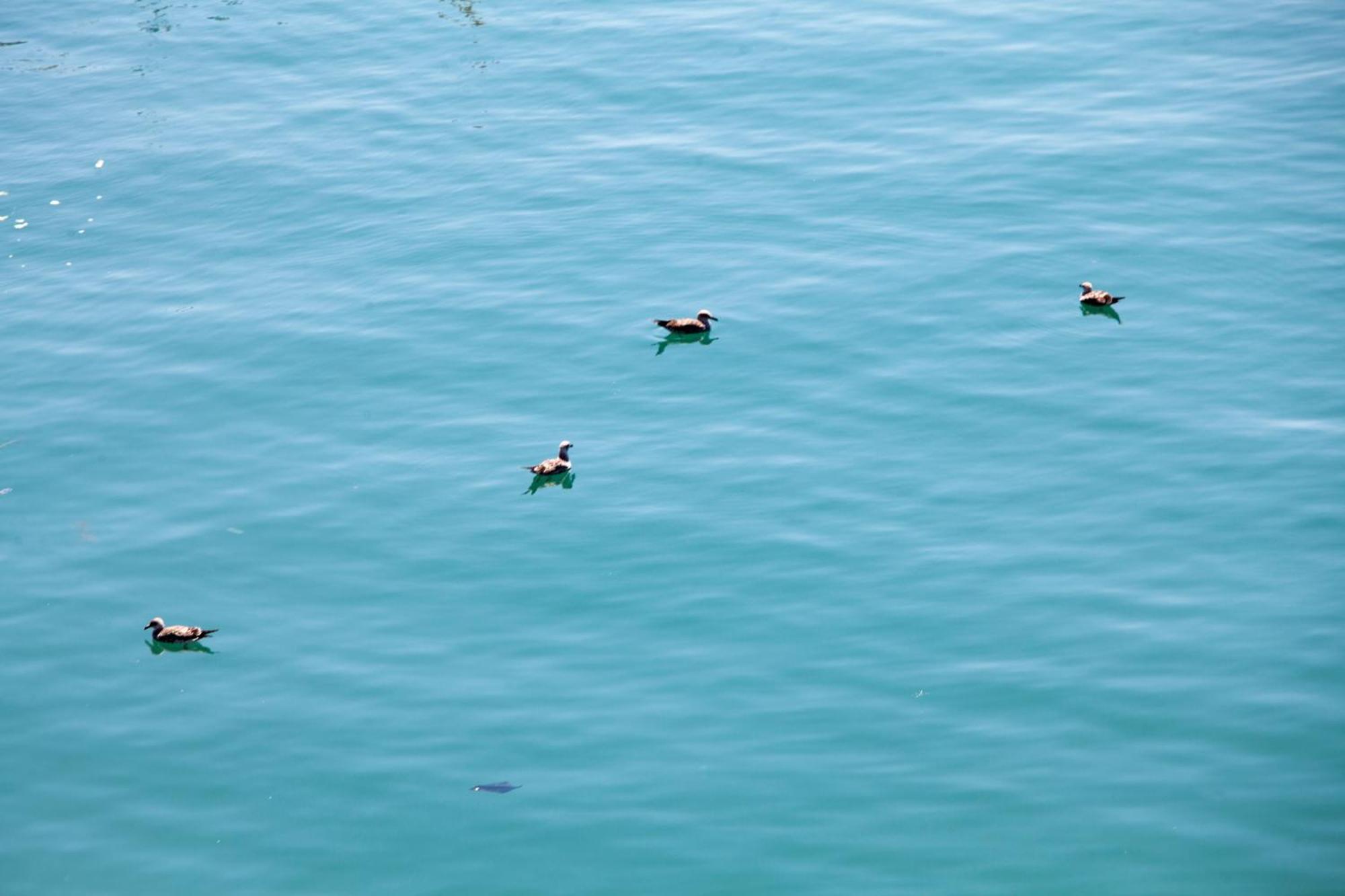 La Finestra Sul Mare Vista Mare * Anzio